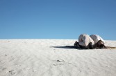 EssopFacina-Qiblah2010