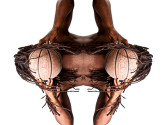ForresterAfricanOsII2011