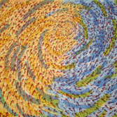 Pindell_Katrina12005