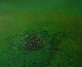 TesemaUntitled2007
