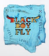 HodgeBlackBoyFly2016