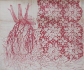 AnnaleeSaccharum officinarum and Queen Anne_s Lace on LedgerPages