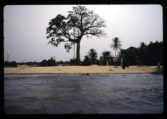 IvoryCoast5