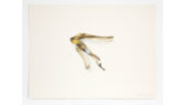 Hendricks_Them_Changes_Exhibition_09