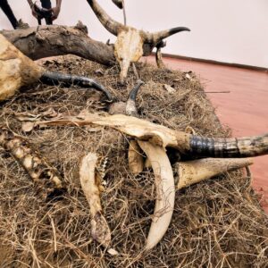 AIma Tchitanga_2025_Installation_Variable dimensions